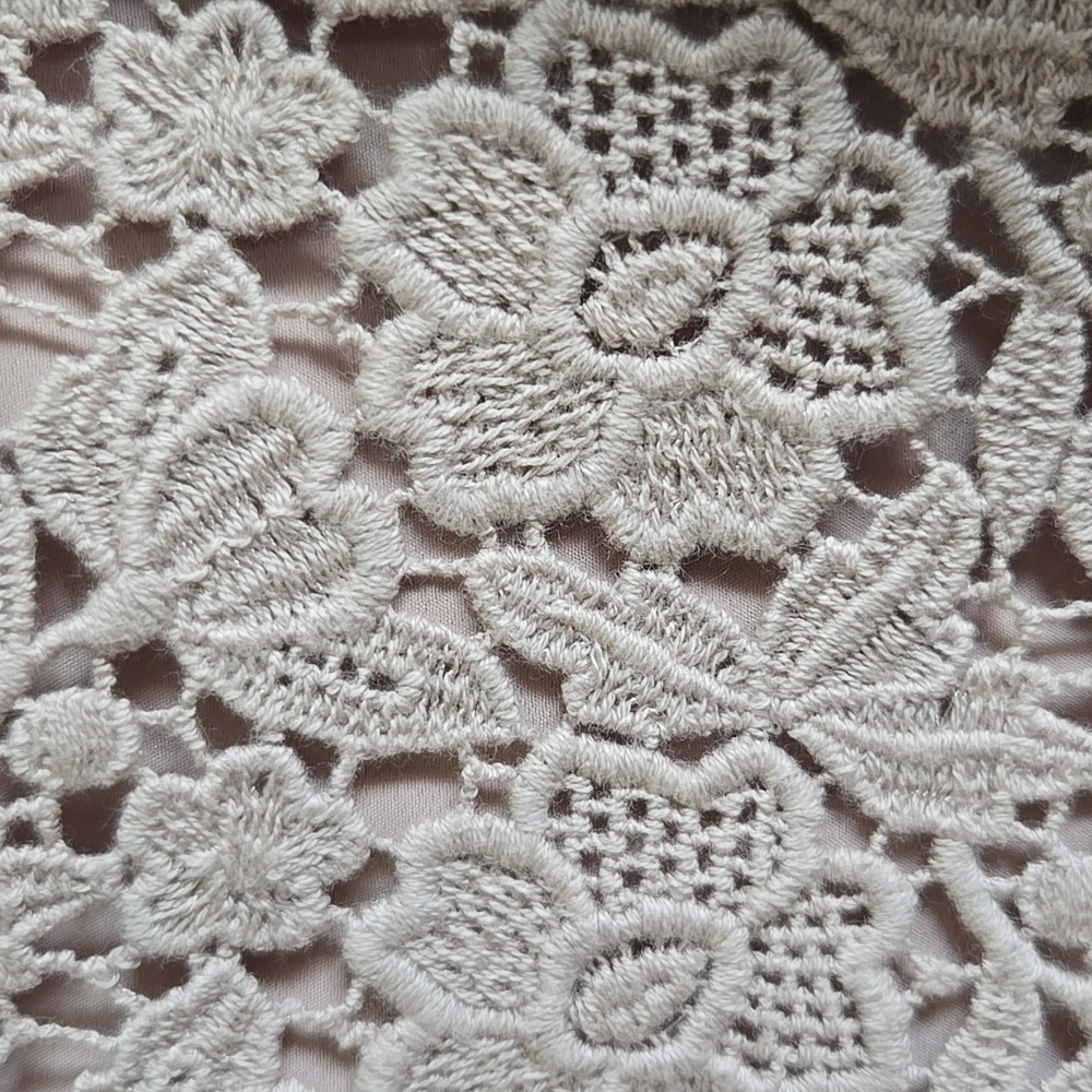 Ann Taylor-Beige lace sheath dress with chiffon overlay on right side Sz 16P - Picture 4 of 8